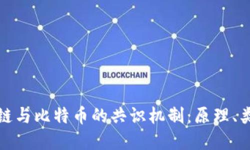 深入理解区块链与比特币的共识机制：原理、类型及其重要性