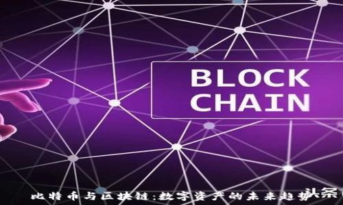   
比特币与区块链：数字资产的未来趋势