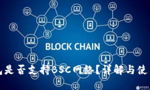 TP钱包是否支持BSC网络？详解与使用指南