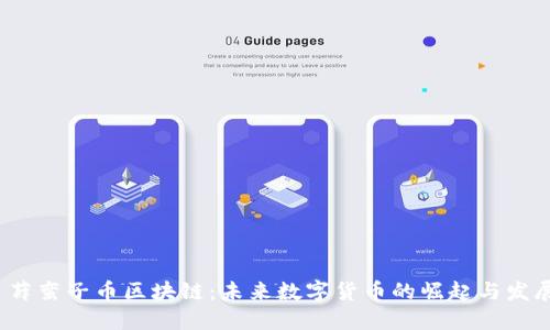  薛蛮子币区块链：未来数字货币的崛起与发展