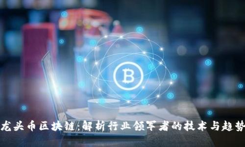 龙头币区块链：解析行业领军者的技术与趋势
