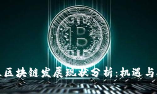 波兰区块链发展现状分析：机遇与挑战