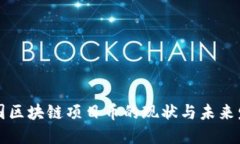 美国区块链项目币的现状与未来发展