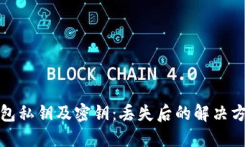 如何找回TP钱包私钥及密钥：丢失后的解决方案与预防措施